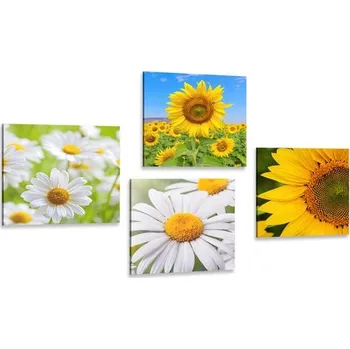 Obraz Dovido Set obrazů nádherné květiny na louce