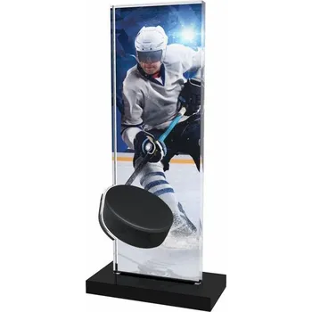 Poháry Bauer Akrylátová trofej APLAM13 | Hokej