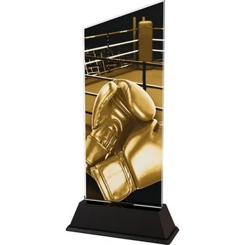 Poháry Bauer Akrylátová trofej CAS0201 | Bojová umění