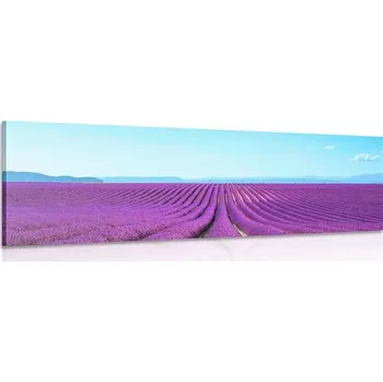Obraz Dovido Obraz nekonečné levandulové pole