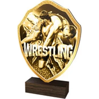 Poháry Bauer Dřevěná plaketa TFRW207 | Bojová umění