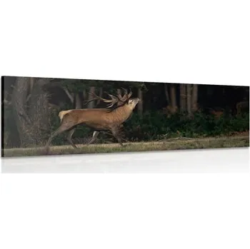 Obraz Dovido Obraz majestátní jelen