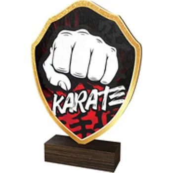 Poháry Bauer Dřevěná plaketa TFRW158 | Bojová umění