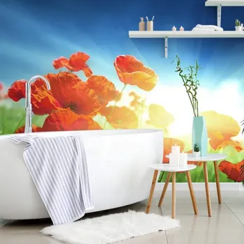 Tapeta Dovido Samolepící tapeta vlčí mák na louce