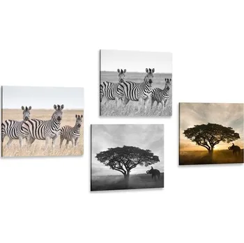 Obraz Dovido Set obrazů zvířata žijící na Savanu