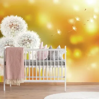 Tapeta Dovido Tapeta nadýchaná pampeliška