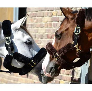 Ohlávka Kentucky s beránkem 42502