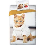 Povlečení Kotě rezavé 140/200, 70/90