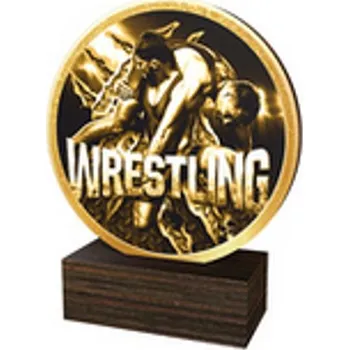 Poháry Bauer Dřevěná plaketa TFRW707 | Bojová umění