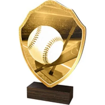 Poháry Bauer Dřevěná plaketa TFRW219 | T-Ball