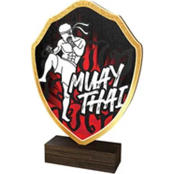 Poháry Bauer Dřevěná plaketa TFRW154 | Bojová umění