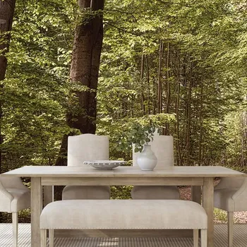 Tapeta Dovido Samolepící fototapeta zelený les