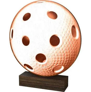 Poháry Bauer Dřevěná plaketa WF273 | Florbal