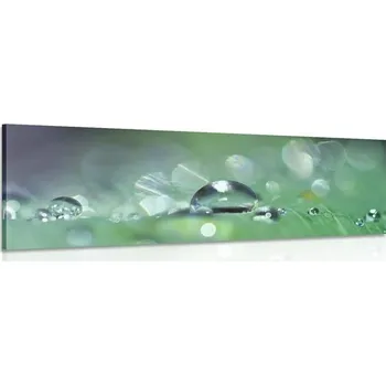 Obraz Dovido Obraz kapka rosy