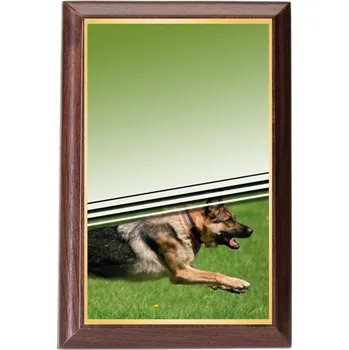 Poháry Bauer Plaketa PLP3M33 | Kynologie