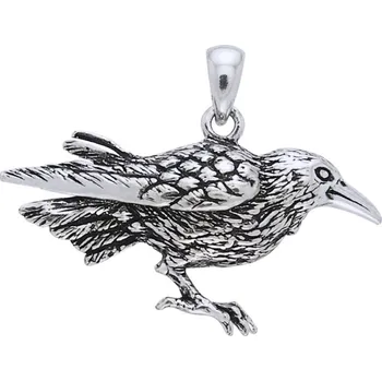 Přívěsek VRÁNA, stříbrný závěs na krk, Ag 925