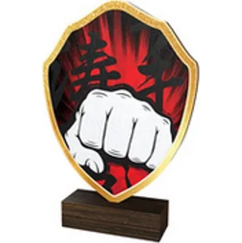 Poháry Bauer Dřevěná plaketa TFRW146 | Bojová umění