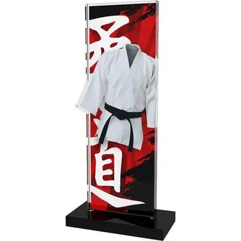 Poháry Bauer Akrylátová trofej APLAM50 | Bojová umění