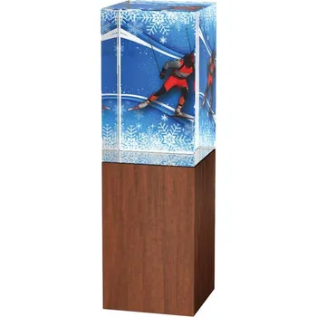 Poháry Bauer Skleněná trofej - kombinace skla a dřeva CRS4021M22 | Biatlon