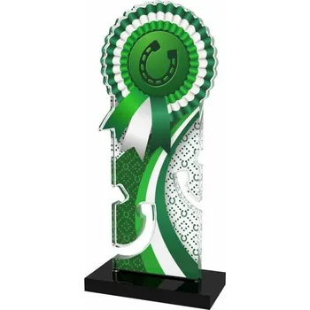 Poháry Bauer Akrylátová trofej APLAM43 | Jezdectví