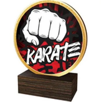 Poháry Bauer Dřevěná plaketa TFRW598 | Bojová umění