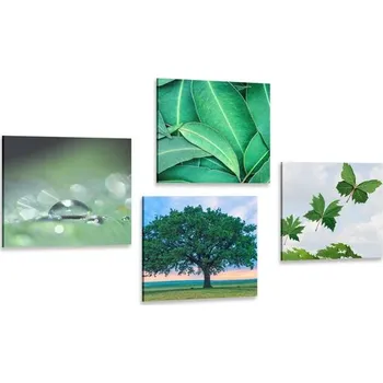 Obraz Dovido Set obrazů příroda plná zeleně
