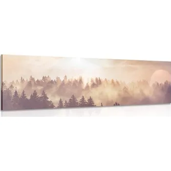 Obraz Dovido Obraz mlha nad lesem