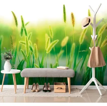 Fototapeta Dovido Fototapeta stébla trávy