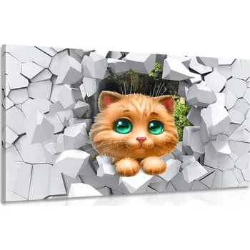 Obraz Dovido Obraz roztomilá kočička