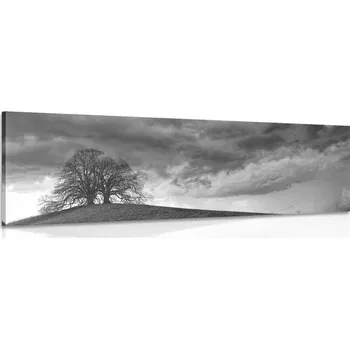 Obraz Dovido Obraz černobílé osamělé stromy