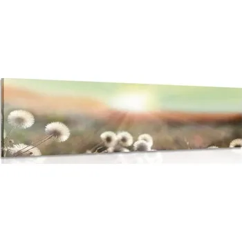 Obraz Dovido Obraz panoráma kvetoucí louky