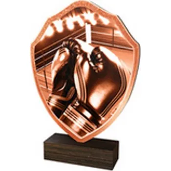 Poháry Bauer Dřevěná plaketa TFRW173 | Bojová umění