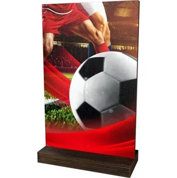 Poháry Bauer Dřevěná plaketa WPLA01M01 | Fotbal