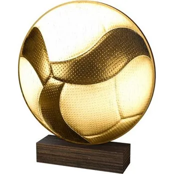Poháry Bauer Dřevěná plaketa WF275 | Volejbal