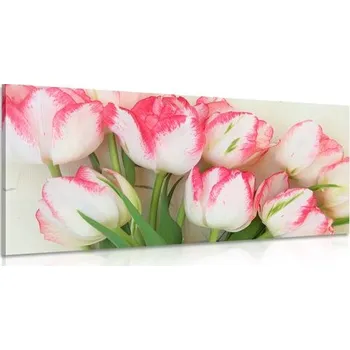 Obraz Dovido Obraz tulipány v jarním nádechu