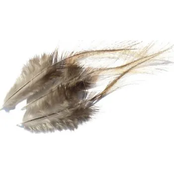 Kohoutí pírka Coq de Leon Tommi-Fly zeleno černá