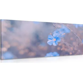 Obraz Dovido Obraz modré květy na vintage pozadí