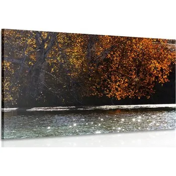 Obraz Dovido Obraz odraz listí v jezeře