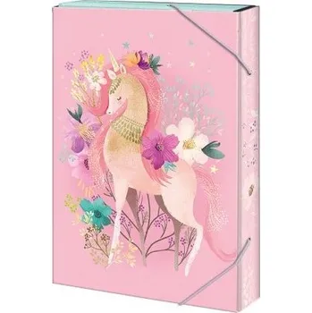 desky na sešit ARGUS Školní box na sešity A4 Magical WORLD 12310386