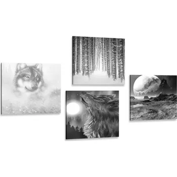 Obraz Dovido Set obrazů tajuplný vlk v černobílém provedení