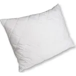 2G Lipov Polštář Aloe Vera - 70x90 cm