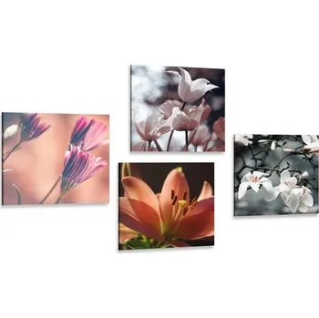 Obraz Dovido Set obrazů něžnost květin