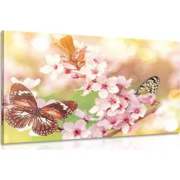 Obraz Dovido Obraz jarní květiny s exotickými motýly