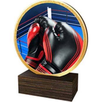 Poháry Bauer Dřevěná plaketa TFRW610 | Bojová umění