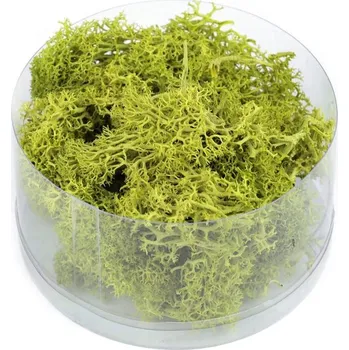 umělá květina Stabilizovaný / preparovaný mech 20 g v krabičce - 2 zelená sv.