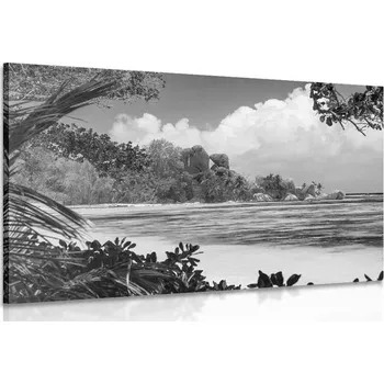 Obraz Dovido Obraz nádherná pláž na ostrově La Digue v černobílém provedení