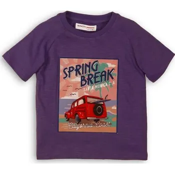 Chlapecké tričko Tričko chlapecké s krátkým rukávem, Minoti, Break 5, fialová - 152/158 | 12/13let