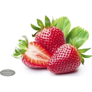 Čokoláda IREKS Jahodová náplň s kusovým ovocem Mella Filling Ireks - 500 g