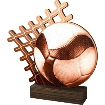 Poháry Bauer Dřevěná plaketa WF077 | Volejbal