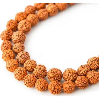 Korálek Korálek ze semínka Rudraksha dobarvovaný 8 mm